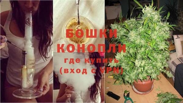 бутират Баксан