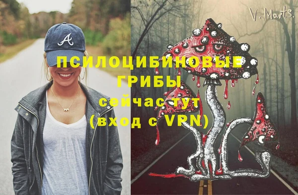 герыч Балахна