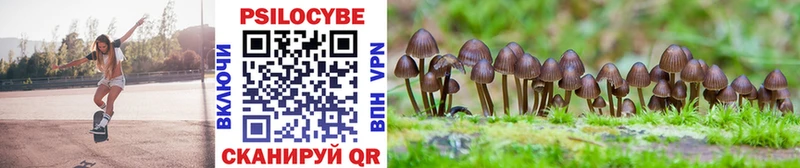Псилоцибиновые грибы Psilocybine cubensis  хочу наркоту  Грязи 